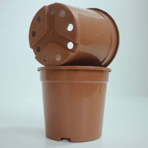 Container 14 cm 5° Y